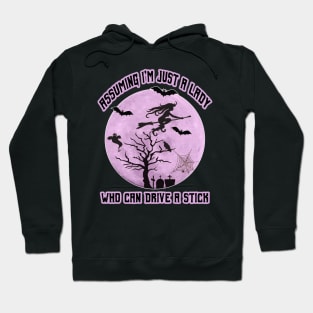 Lady Witch who can Drive a Stick, Funny Halloween Costume Hoodie